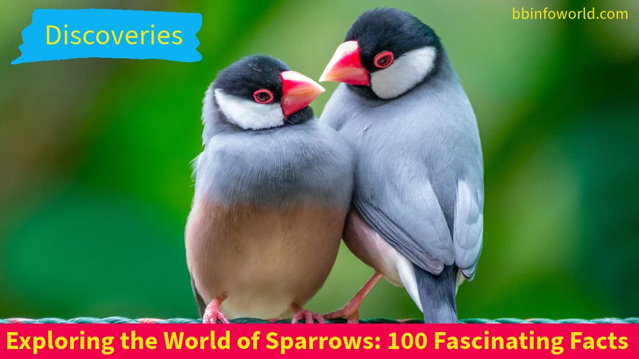 Exploring the World of Sparrows: 100 Fascinating Facts